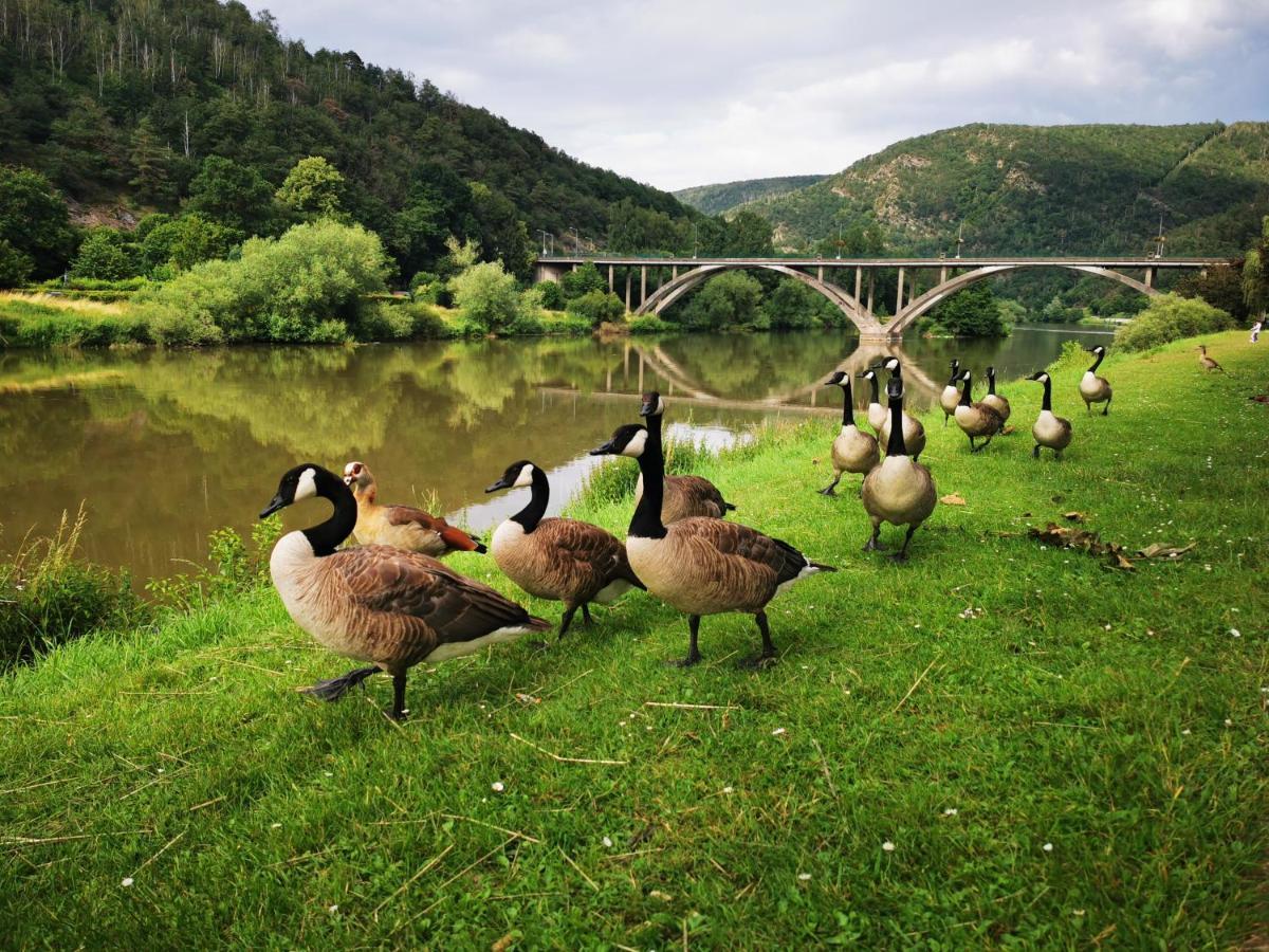 Villa La Bayenne Revin  Esterno foto